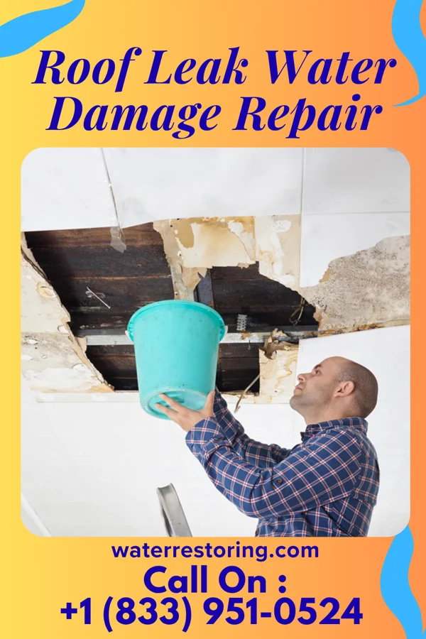 Roof Leak Water Damage Repair in Tega Cay, SC