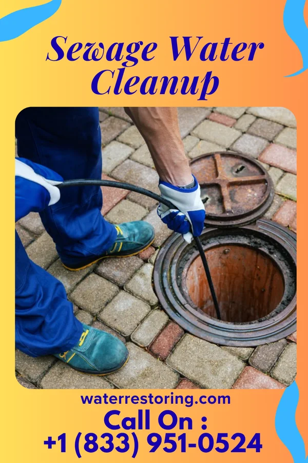Sewage Water Cleanup in Tega Cay, SC